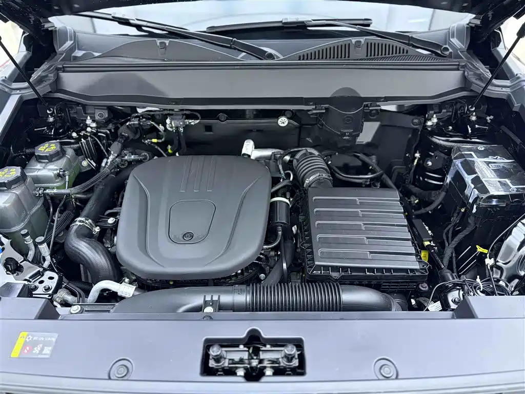 Haval Menglong NEV Hi4 145 Cross