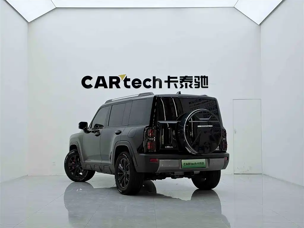 Haval Menglong NEV Hi4 145 Cross