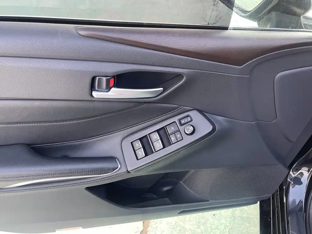 Avalon 2.0 L Luxury CN-VI