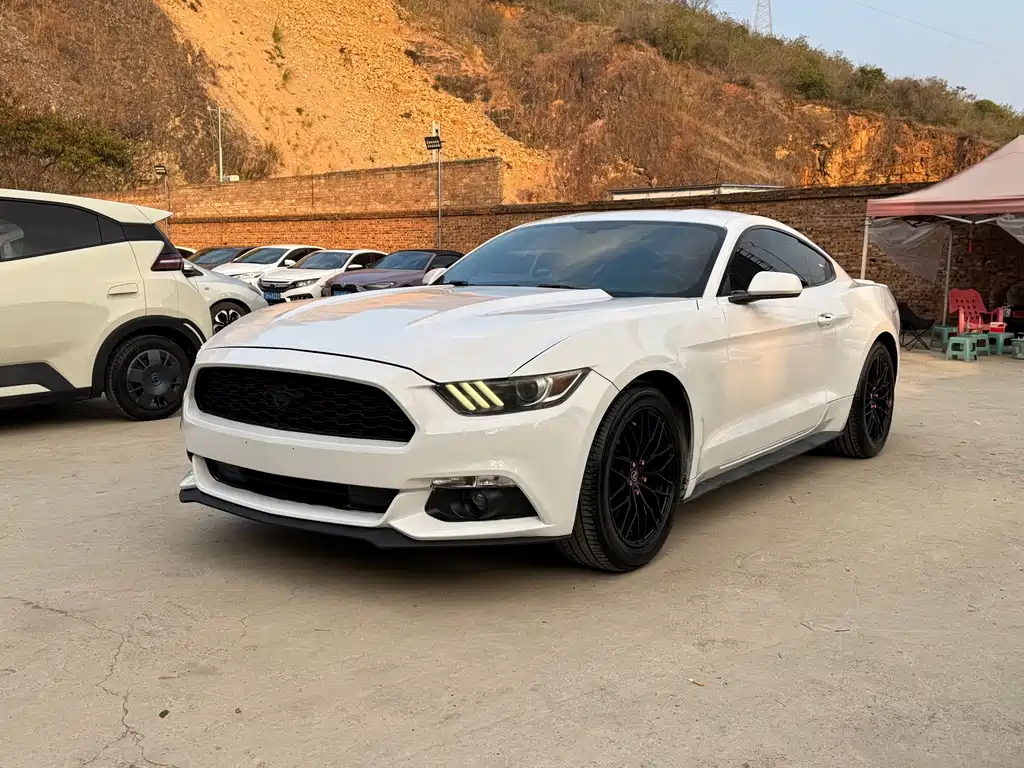 Mustang 2.3 T Performance
