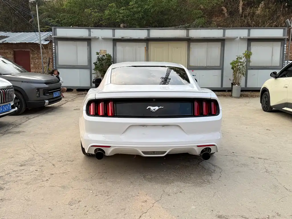 Mustang 2.3 T Performance