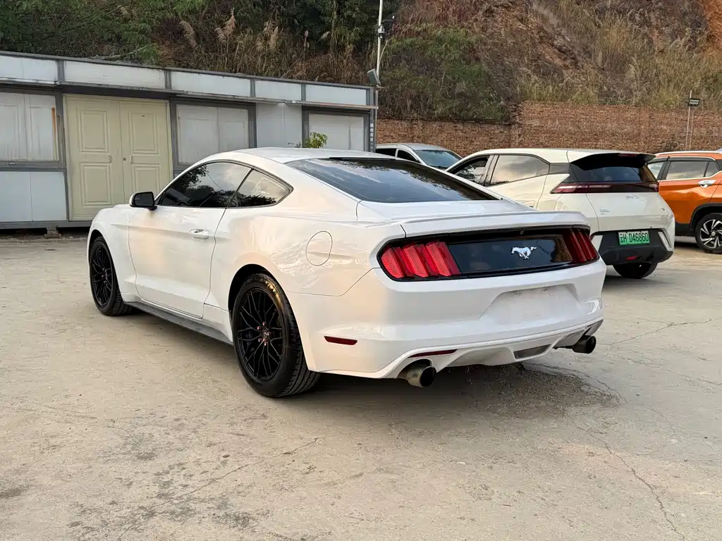 Mustang 2.3 T Performance