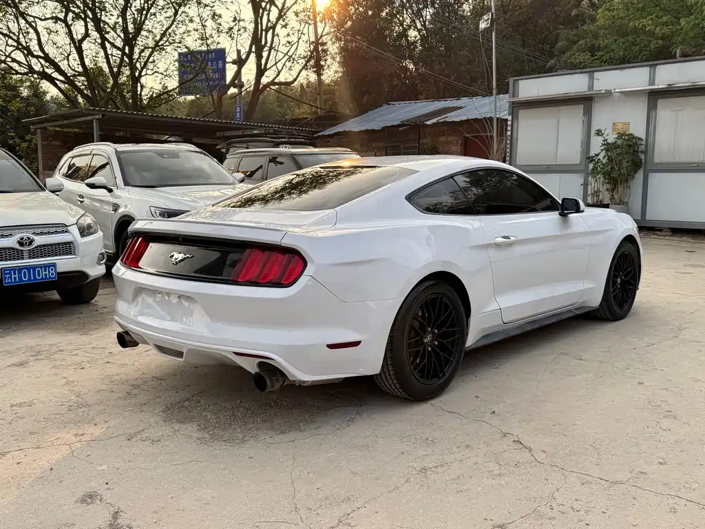 Mustang 2.3 T Performance
