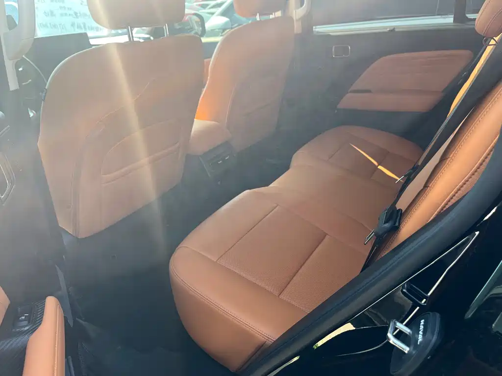 Haval Menglong NEV Hi4 145 Cross