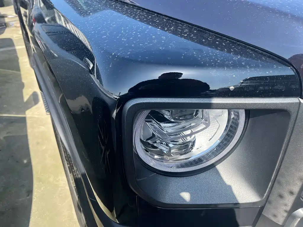 Haval Menglong NEV Hi4 145 Cross