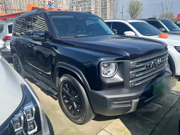 Haval Menglong NEV Hi4 145 Cross