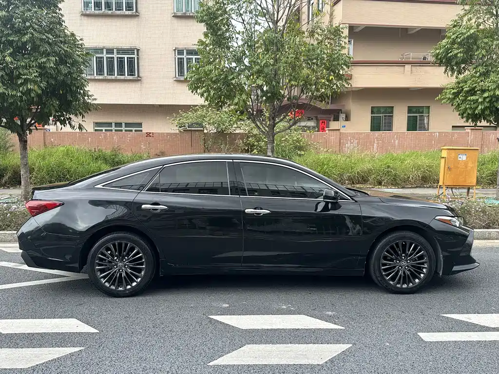 Avalon 2.0 L XLE Premium CN-VI