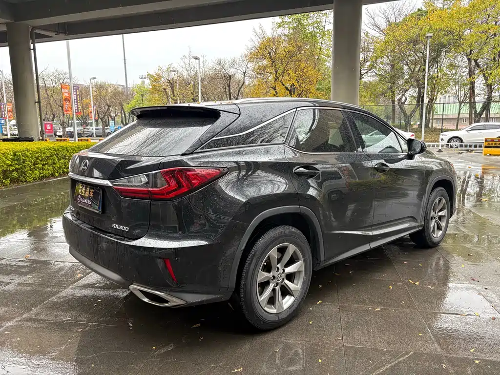 Lexus RX 300 2 WD Elite CN-V