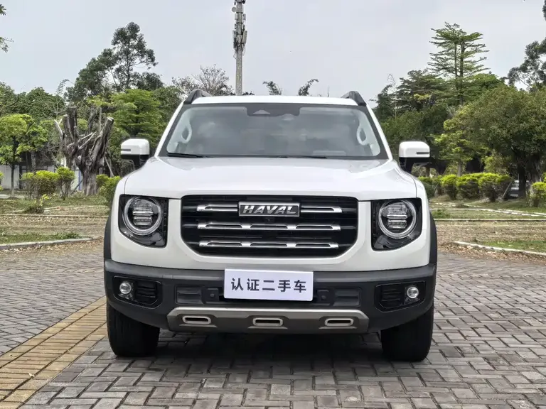 Haval Dargo 2.0 T DCT 4 WD Howling Dog