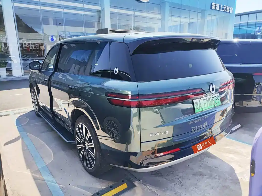 Denza N9 Flagship