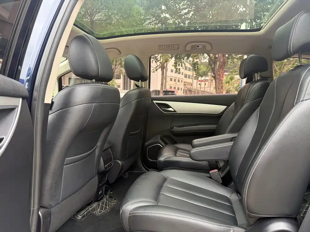Song MAX Upgraded 1.5 T Auto Flagship 6-seat