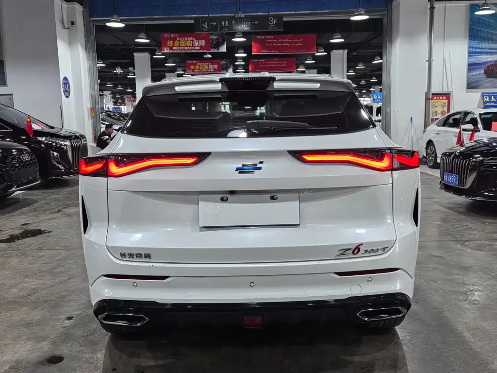 Changan Oshan Z6 Blue Whale 1.5 T DCT Smart Supreme