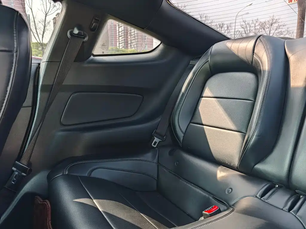 Mustang 2.3 T Performance