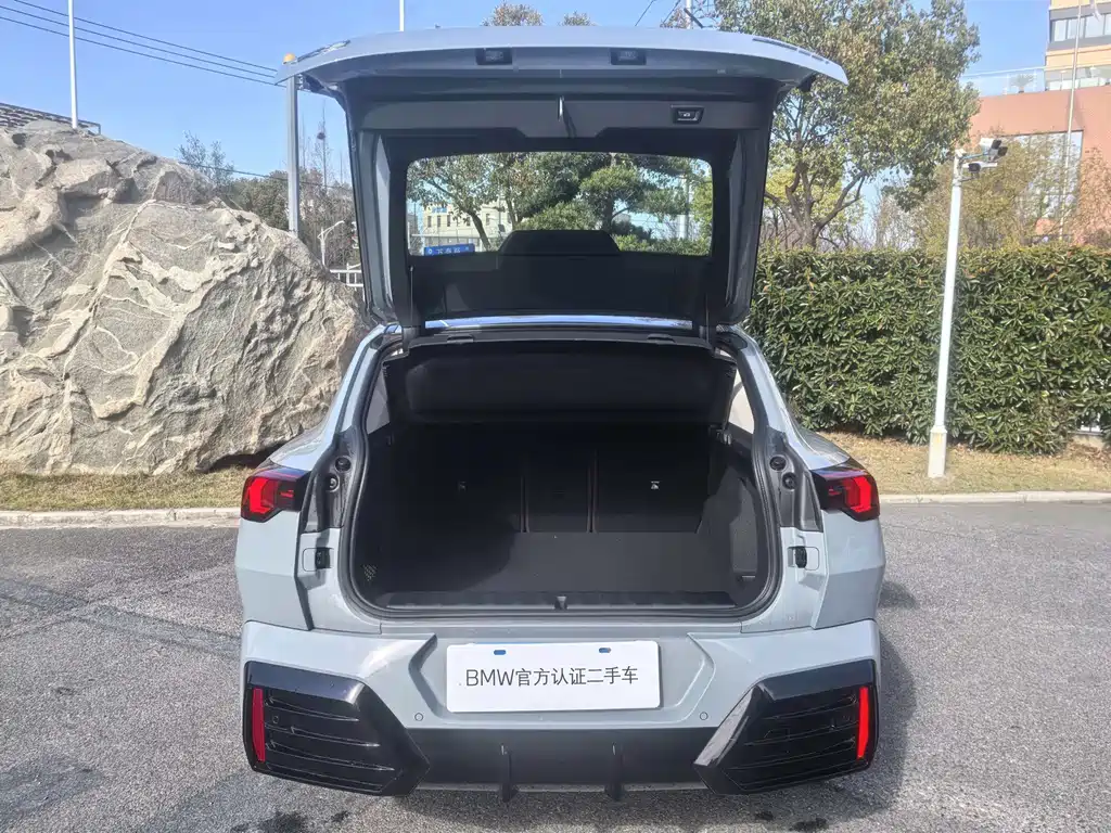 BMW X2 (Import) sDrive25 i M Sport Package
