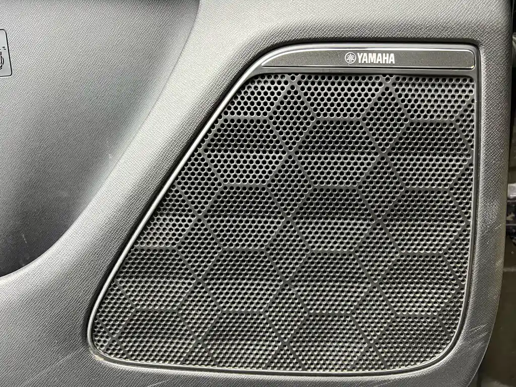 GAC Trumpchi E9 E9 MAX
