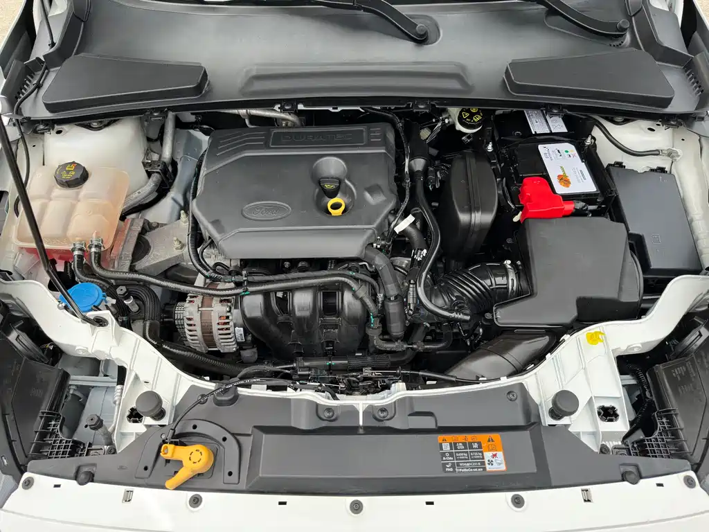 Escort Facelift 1.5 L Auto Joy CN-VI