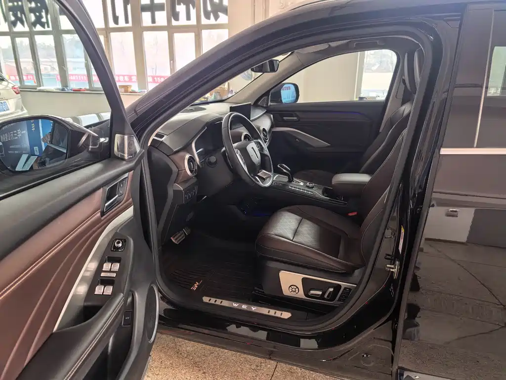WEY VV6 魏牌 VV6 2019款 2.0 T 两驱旗舰型 国VI