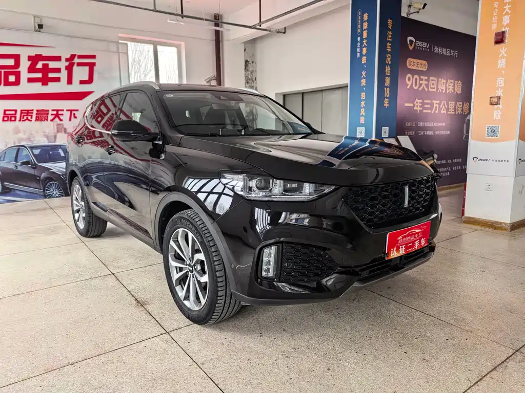 WEY VV6 魏牌 VV6 2019款 2.0 T 两驱旗舰型 国VI