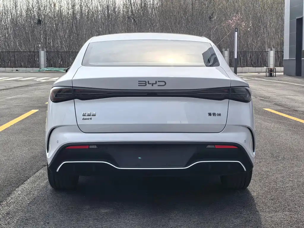 Seal 06 DM-i 80 KM Distinguished