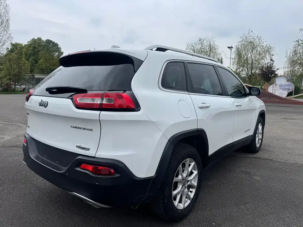Cherokee 2.4 L Professional