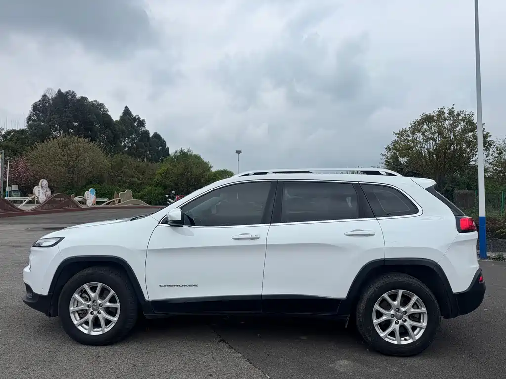 Cherokee 2.4 L Professional