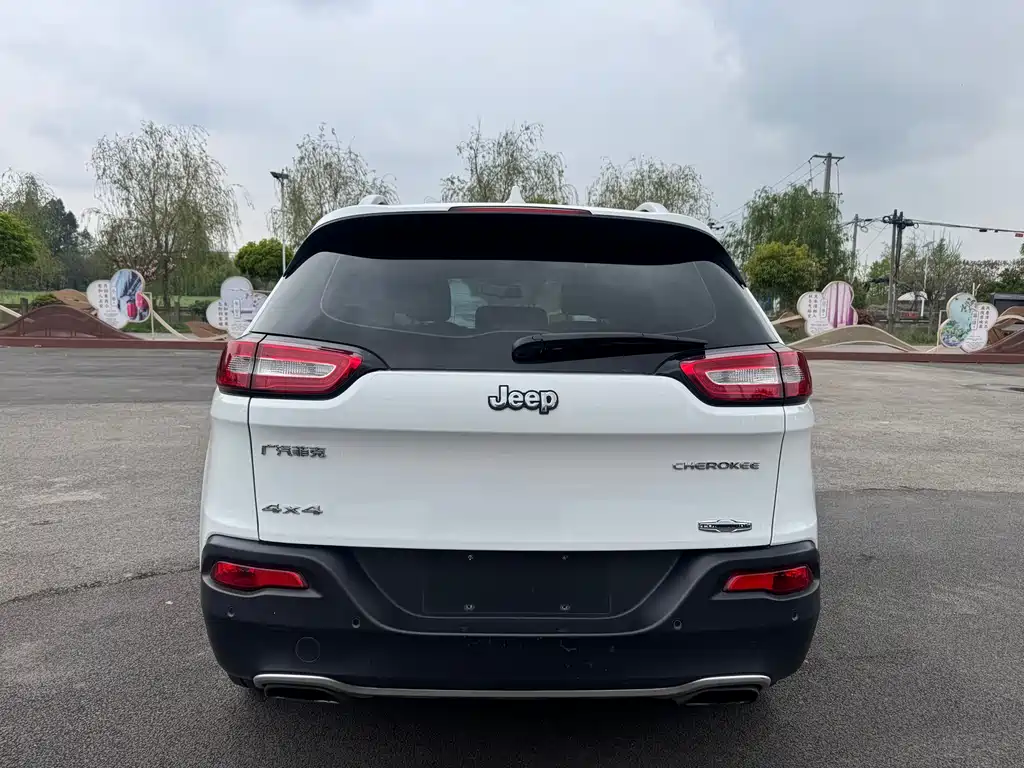 Cherokee 2.4 L Professional