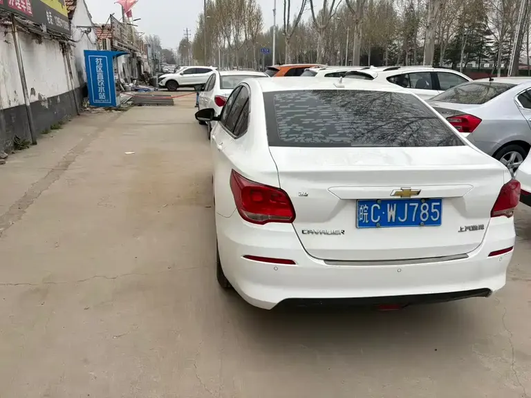 Chevrolet Cavalier 科沃兹 2019款 320 手动欣悦版