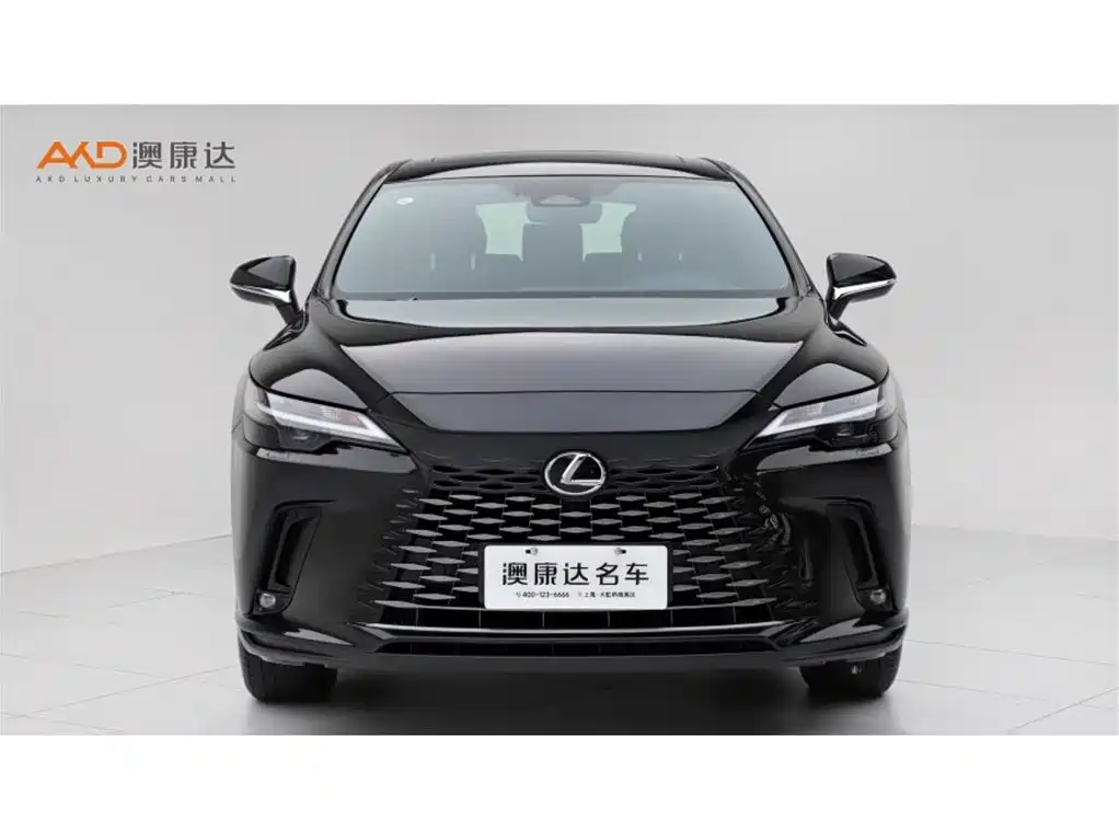 Lexus RX 雷克萨斯RX350 h/2.5/23款/两驱悦享版