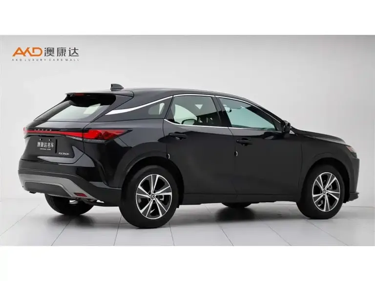 Lexus RX 雷克萨斯RX350 h/2.5/23款/两驱悦享版