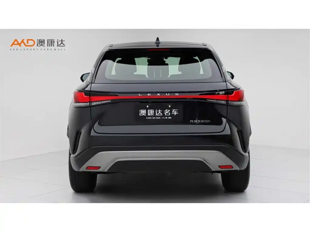 Lexus RX 雷克萨斯RX350 h/2.5/23款/两驱悦享版
