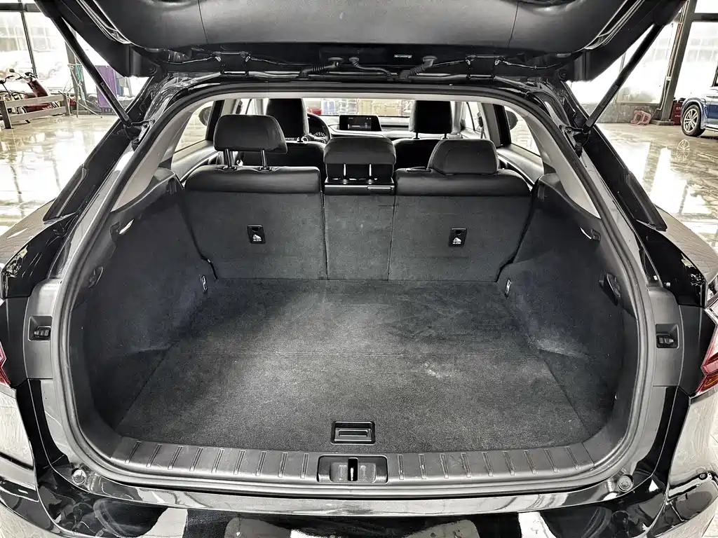 Lexus RX 300 2 WD Elite CN-V