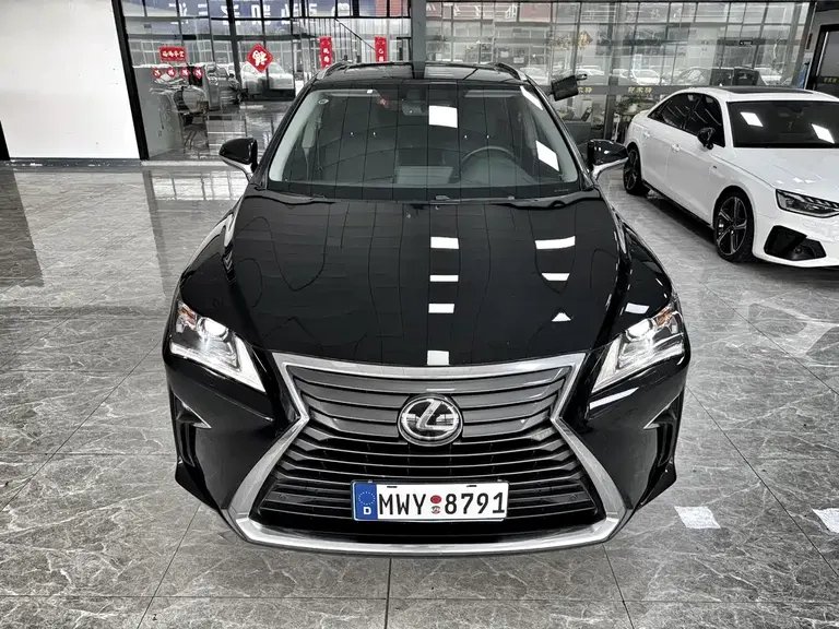 Lexus RX 300 2 WD Elite CN-V