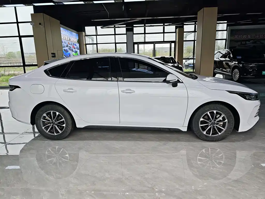Destroyer 05 Glory DM-i 55 KM Luxury
