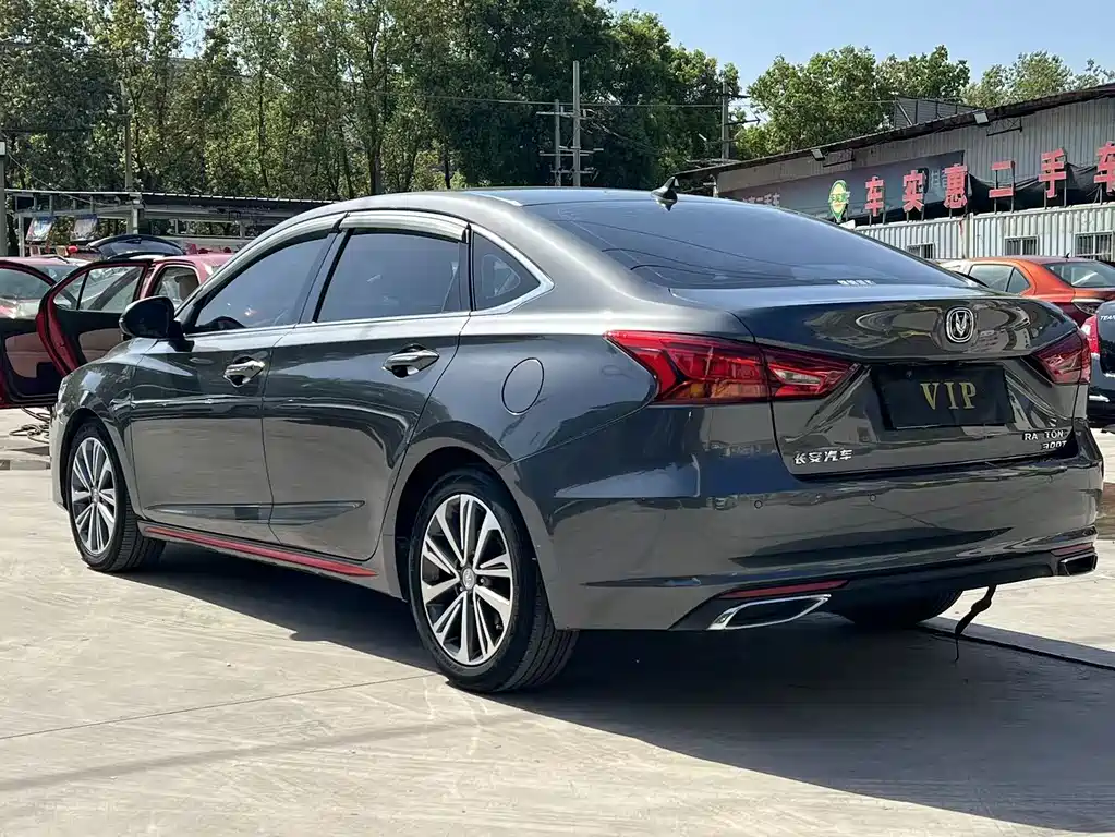 Ruicheng CC Blue Whale 1.5 T DCT Flagship