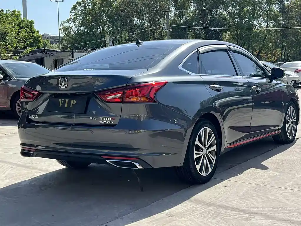 Ruicheng CC Blue Whale 1.5 T DCT Flagship