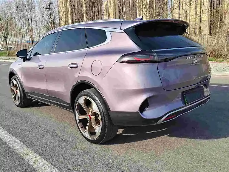 Denza X PHEV Flagship