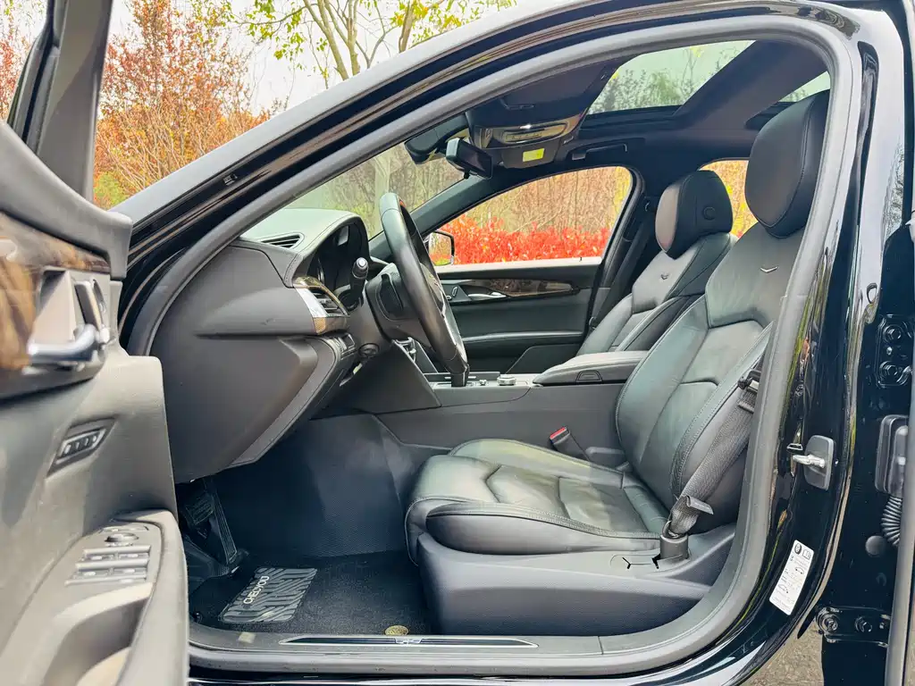 Cadillac CT6 28 T Luxury