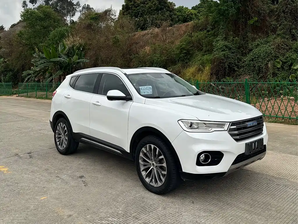 Haval H6 Blue Label 2.0 T Auto 2 WD Smart Style