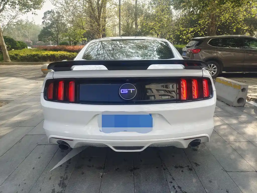 Mustang 2.3 T Performance
