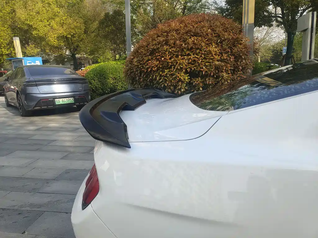 Mustang 2.3 T Performance