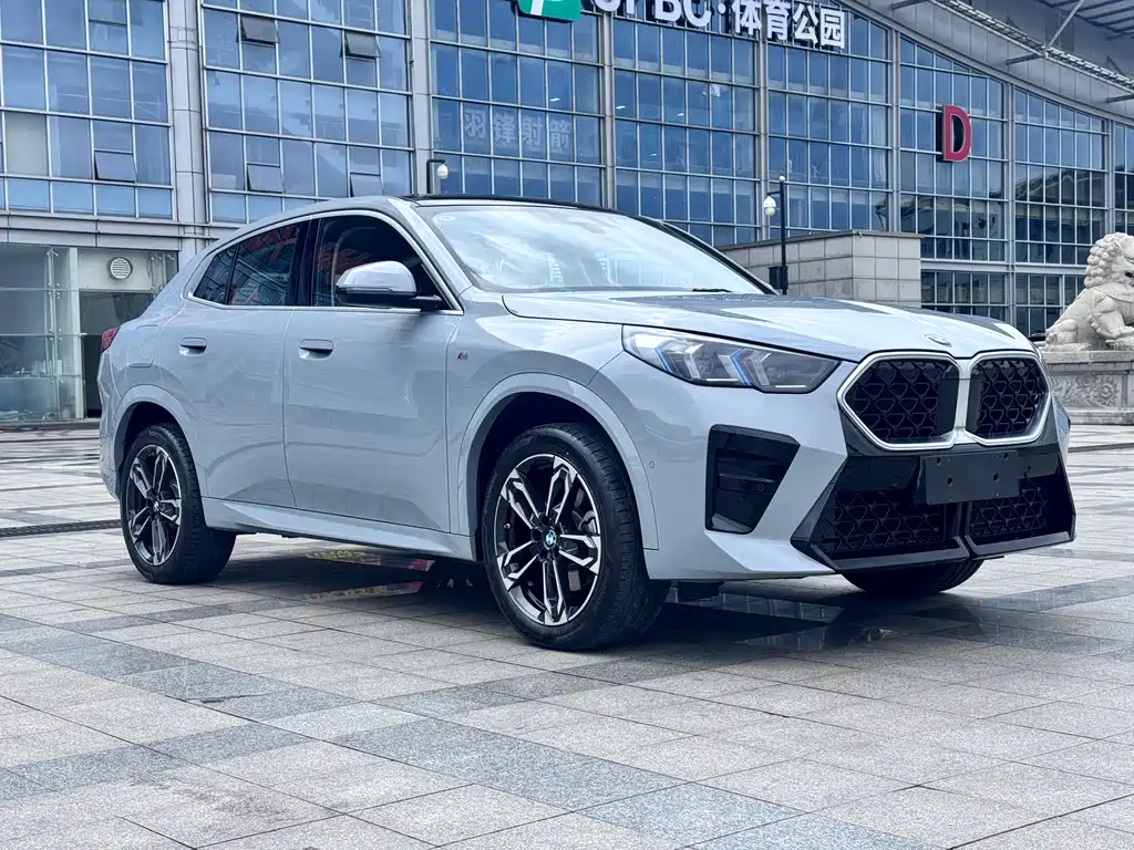 BMW X2 (Import) sDrive25 i M Sport Package
