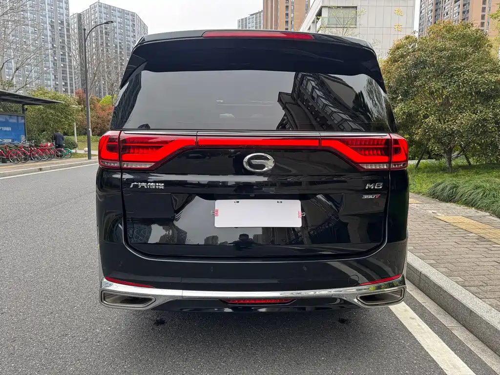 GAC Trumpchi M8 Leading Show Series 390 T Premium