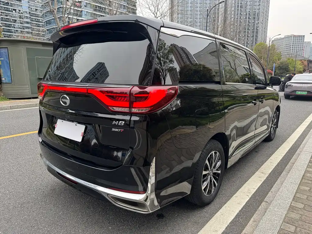 GAC Trumpchi M8 Leading Show Series 390 T Premium