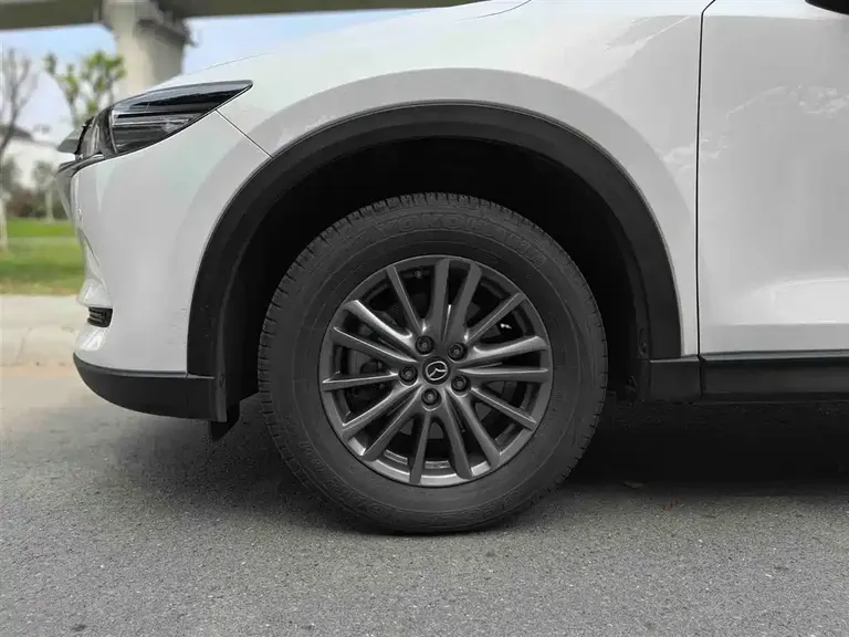 Mazda CX-8 2.5 L 2 WD Luxury