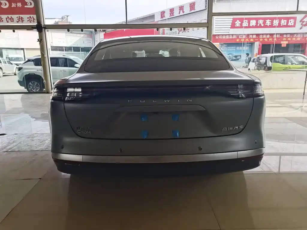 Fengyun A9 L 260 Ultra Long Range Luxury