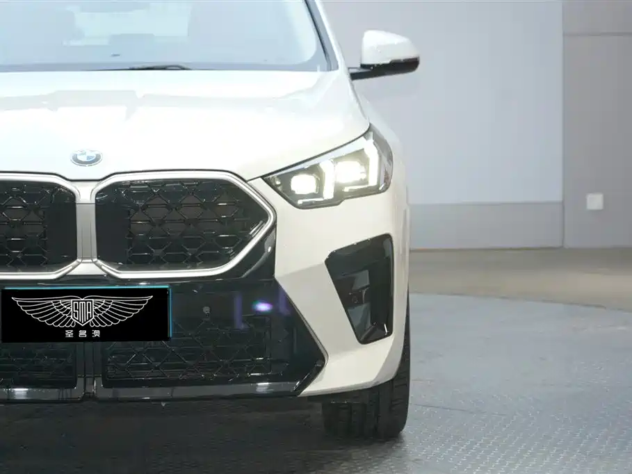 BMW X2 (Import) sDrive25 i M Sport Package