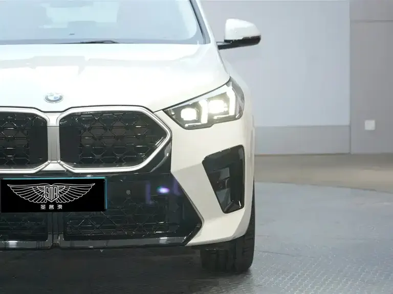 BMW X2 (Import) sDrive25 i M Sport Package