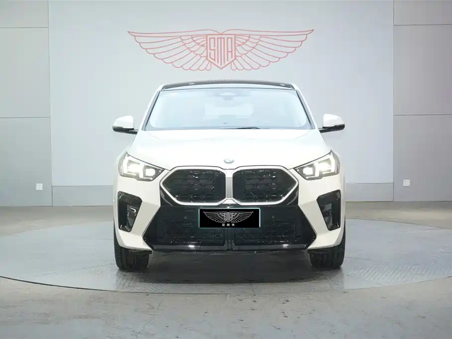 BMW X2 (Import) sDrive25 i M Sport Package