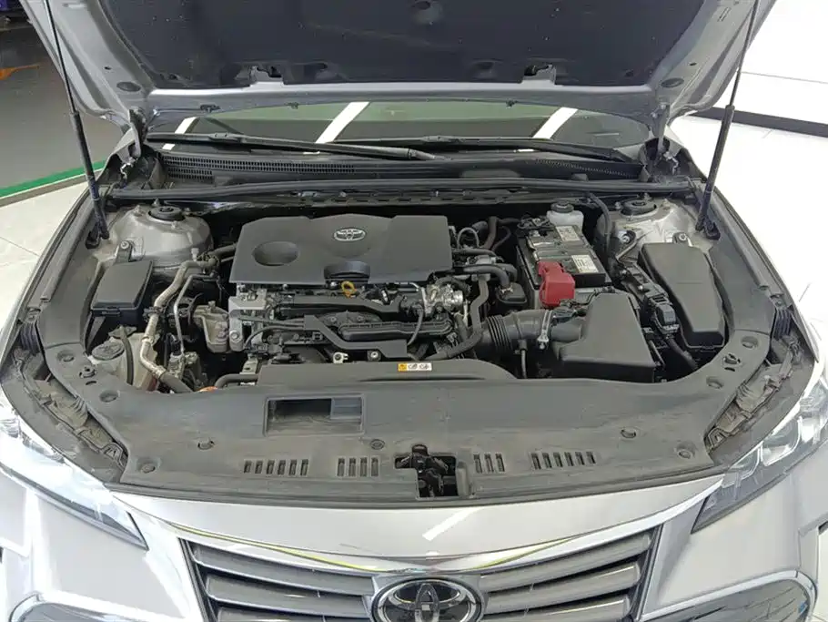 Avalon 2.0 L Luxury CN-VI