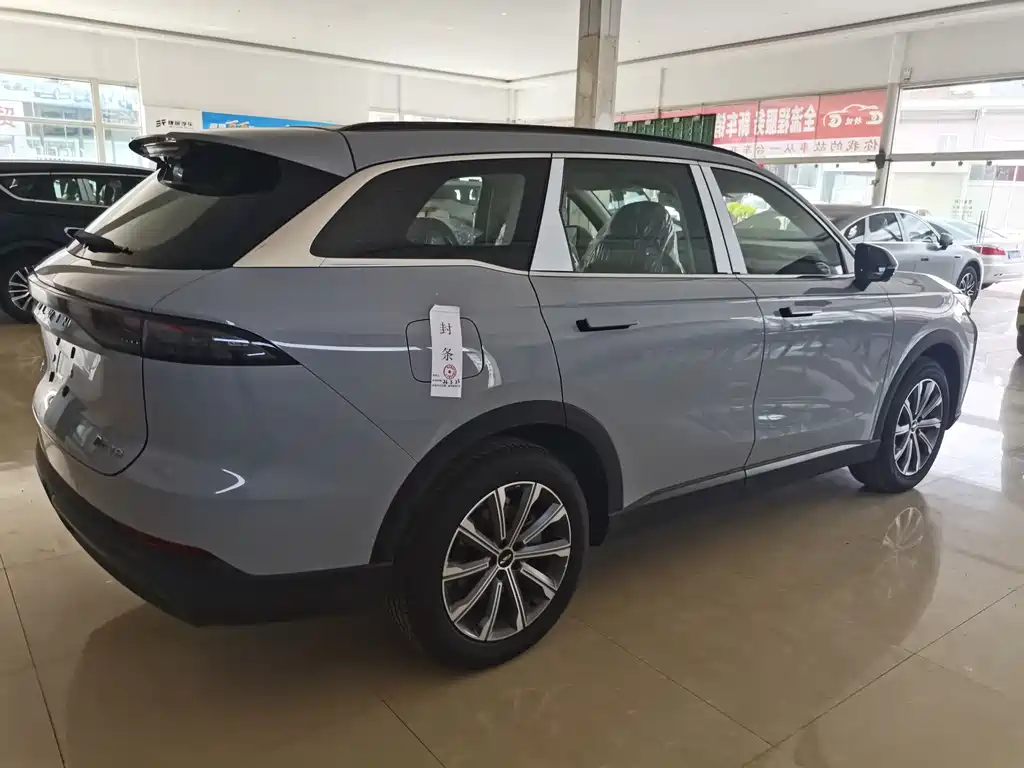 Fengyun T9 120 Long Range Honored 5-seat Ternary Lithium